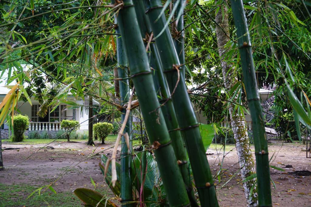 Chalet Bamboo Vert La Digue Exterior photo